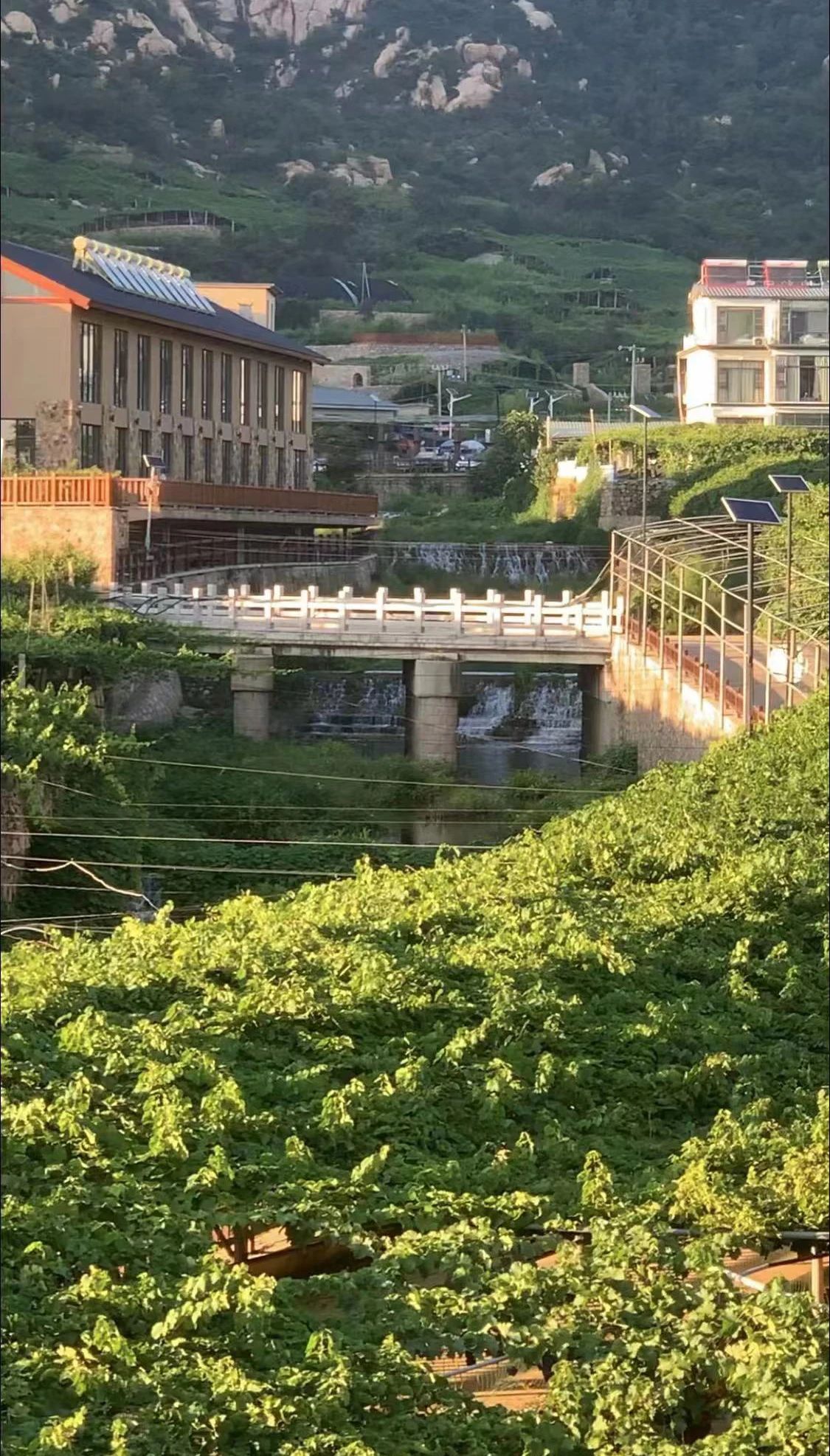 微信图片_20230828152717_1.jpg