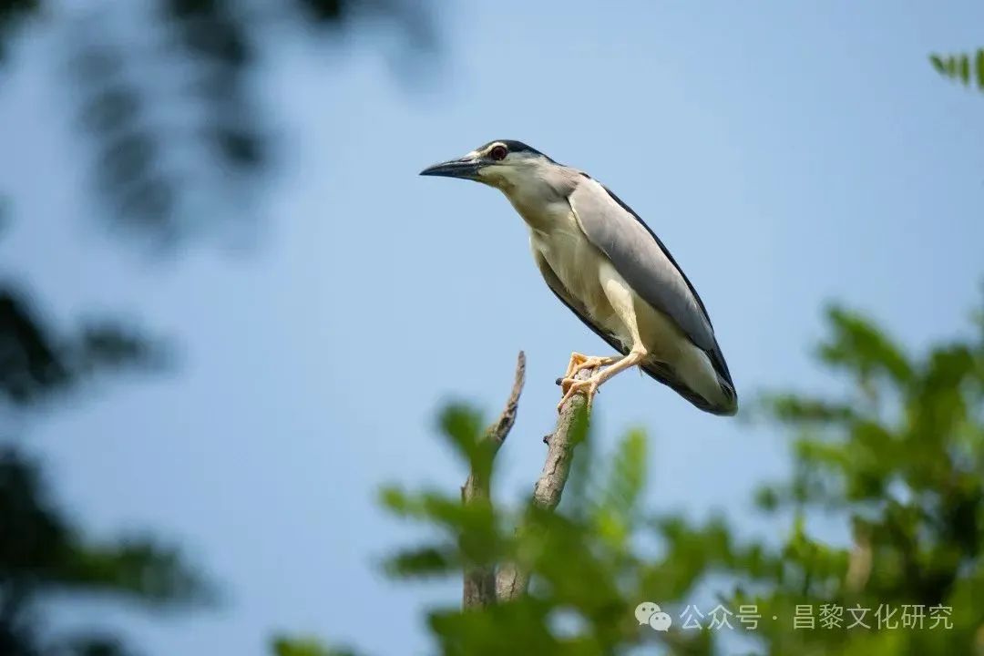 微信图片_20240428142011.jpg
