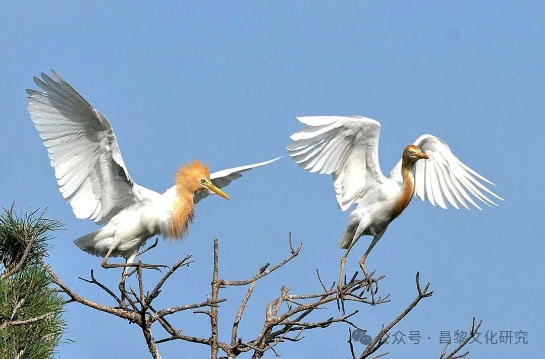 微信图片_20240428142019.jpg