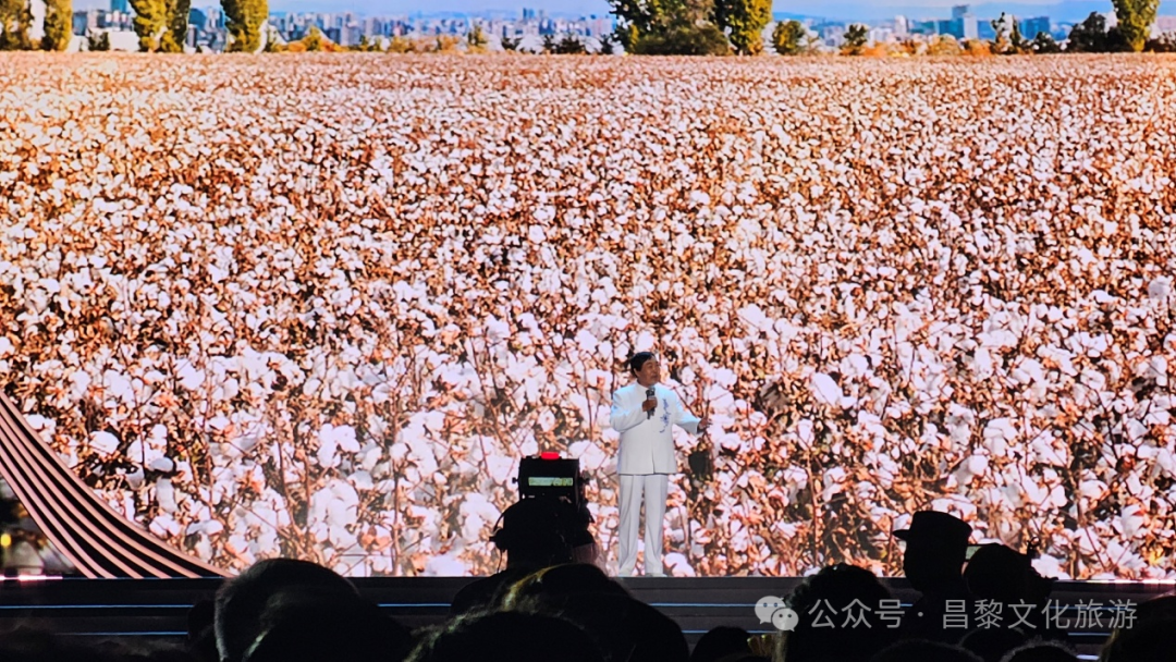 微信图片_20240815161735.png