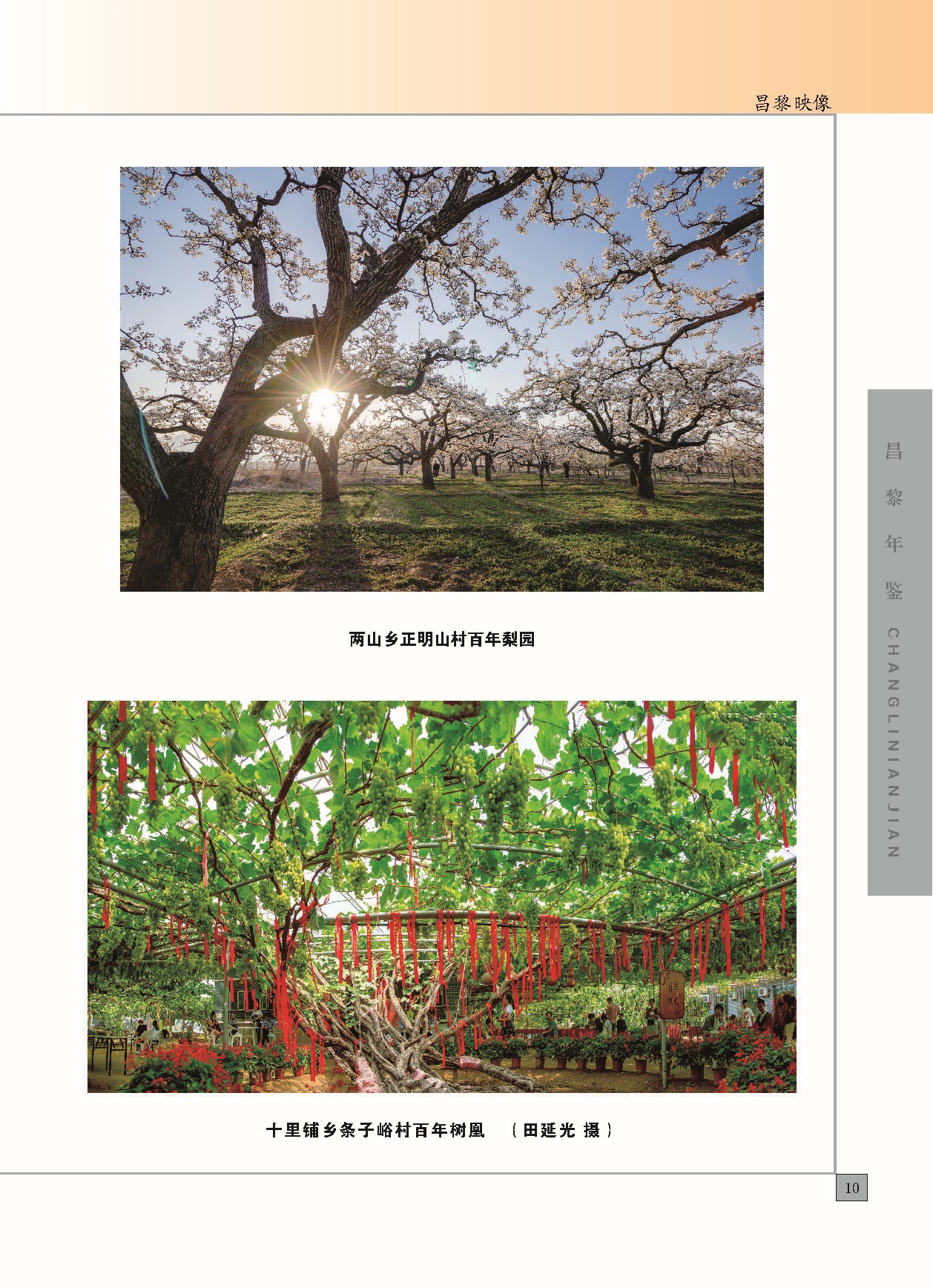 昌黎年鉴2024终稿印刷10-10_页面_017.jpg