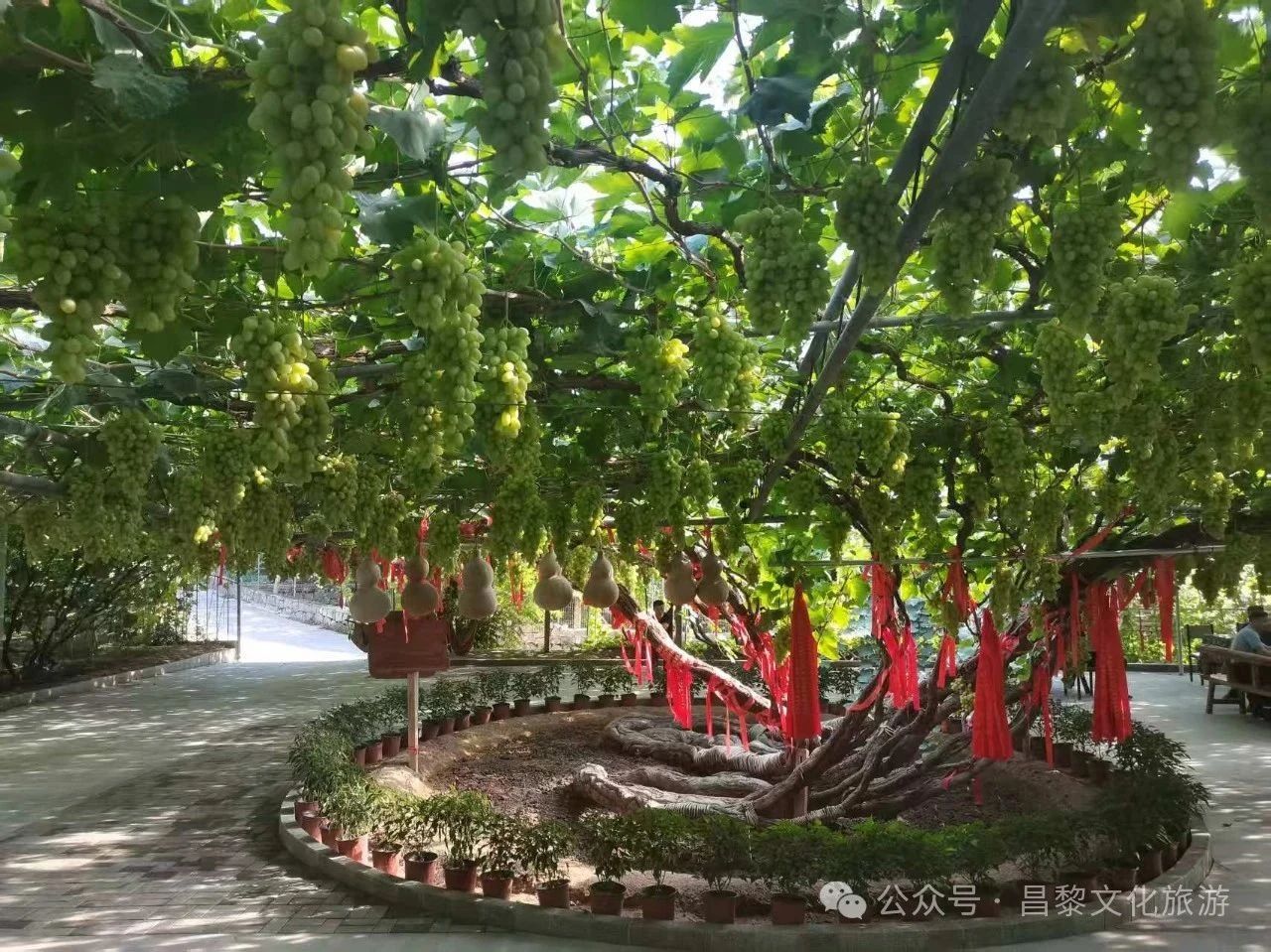 微信图片_20250714170409.jpg