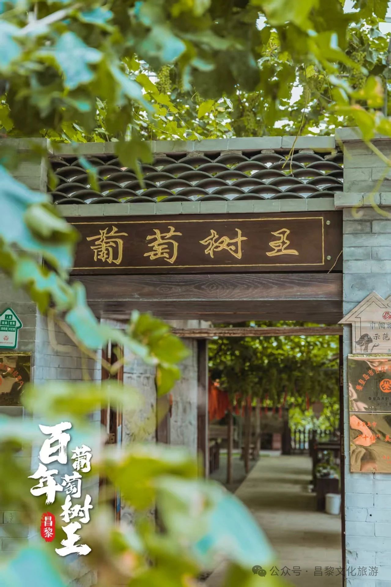 微信图片_20250714170423.jpg